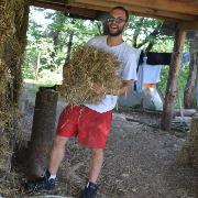 Profile photo of Haris Mesić